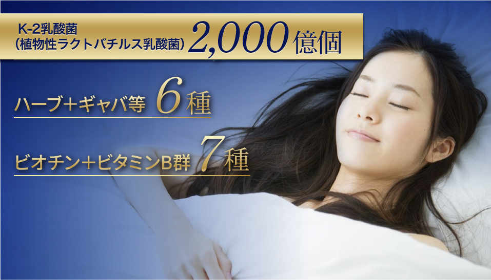 K-2乳酸菌（植物性ラクトバチルス乳酸菌）2000億個　ハーブ＋ギャバ等6種　ビタミン＋ビタミンB郡7種